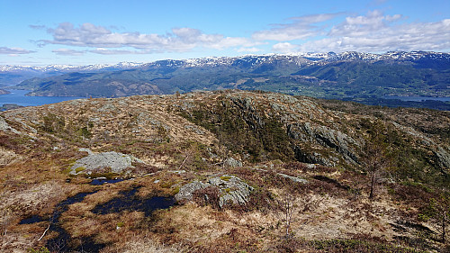 Midtfjellet from Gråfjellet