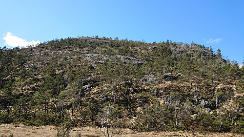 Looking back at the descent from Midtfjellet