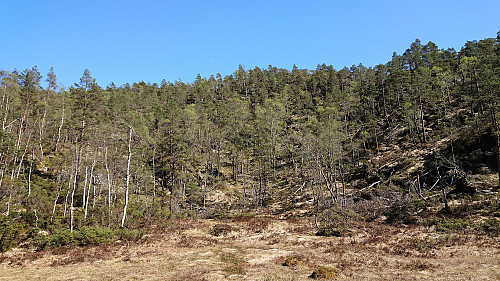 Ascent to Strandafjellet