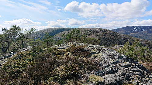 Strandafjellet with Gråfjellet and Midtfjellet in the background