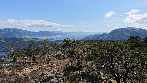View from Strandafjellet