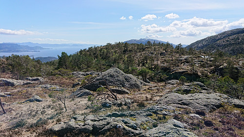 Summit of Strandafjellet from the northeast