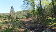 Trail to Skausnøya