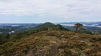 Skausnøya from Fjellsbøheia