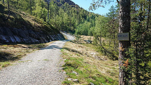 One of the few easier stretches during the ascent