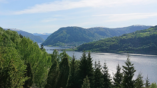 View towards Sogndal from the marked viewpoint below Flot