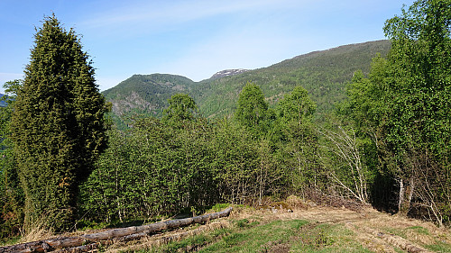 Start of the tractor road. Solvornnipa in the background.