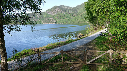 Arriving at the gravel road along Barsnesfjorden