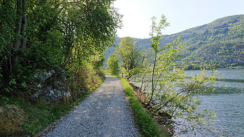 Gravel road along Barsnesfjorden