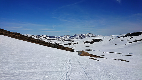 Looking back at the gravel road we partially followed