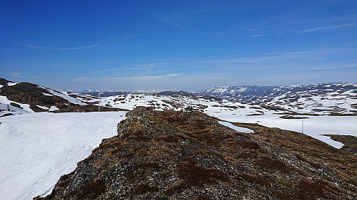 The highest point at Skjelingahaugen