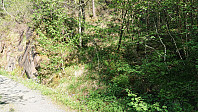 My randomly selected "trailhead"