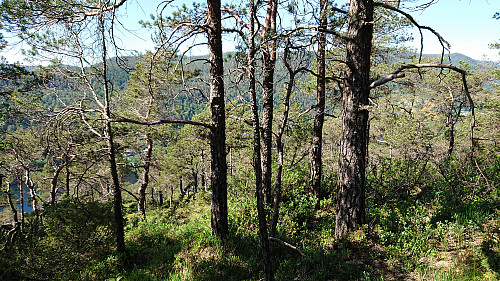 View west from Eggene