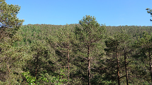 View east from Eggene