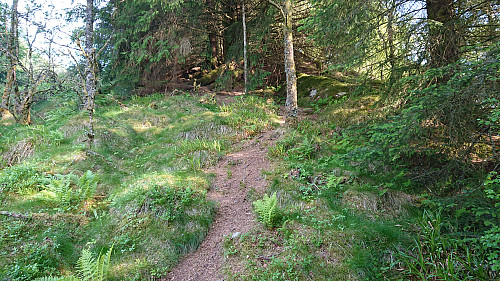 Trail towards Vassberget
