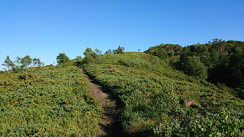 Trail towards Krossane