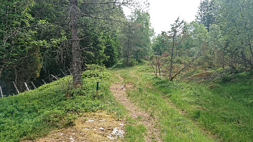 Marked trail towards Rotten