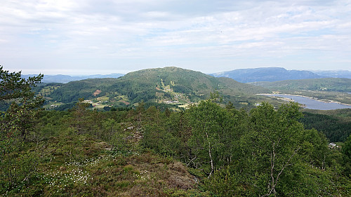 Tveitafjellet seen from Rotten