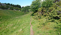 Trail towards Storafjellet