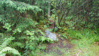Trailhead Sollikammen