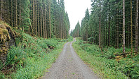 Gravel road after Furhøyen