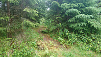 The trail coming from Hopsfjellet
