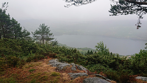 Seimsfjorden from Totlandsfjellet