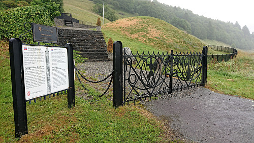 Håkonshaugen