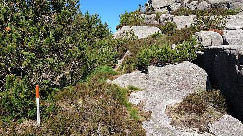 Trail from Idlefjell to Sandeie