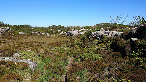 Trail from Idlefjell to Sandeie