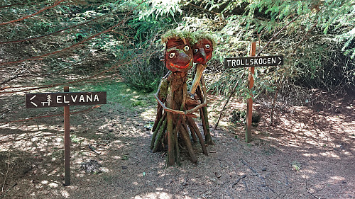 Entrance to Trollskogen south of Storavatnet