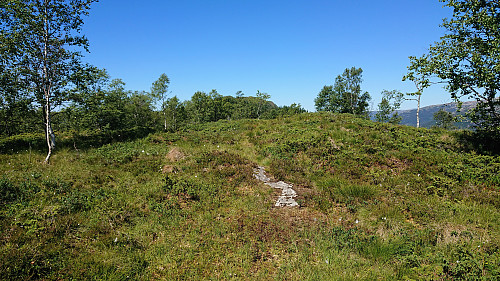 Trail towards Djupedalseggene