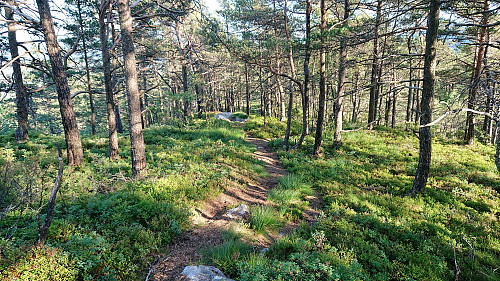 Trail descending southeast from the visitor register