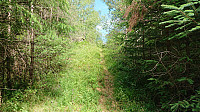 Start of the trail