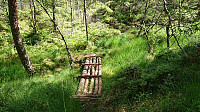 Trail to Bukkaberget