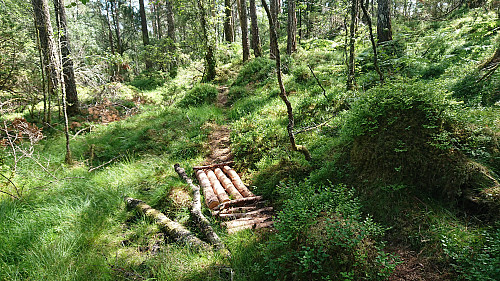 Trail south from Bukkaberget