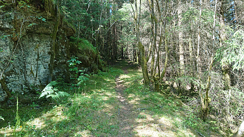 Looking back at the end of the trail