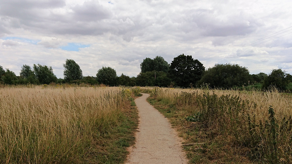 Walking path around the Wellcome Genome Campus