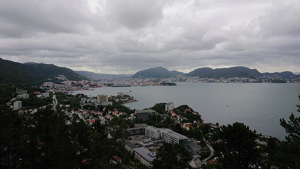 View towards the Bergen city center from Furukammen