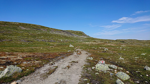 Started on a marked trail from Dyranut Fjellstove