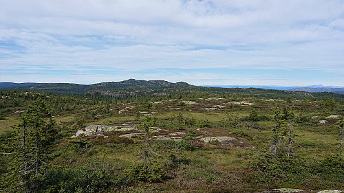 View towards Styggmann from Stølefjell