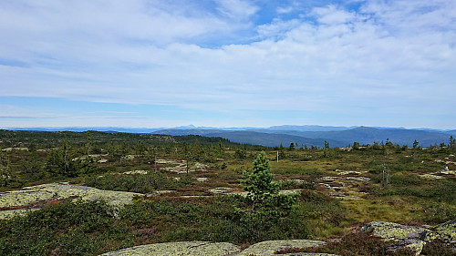 View towards Gaustatoppen from Stølefjell