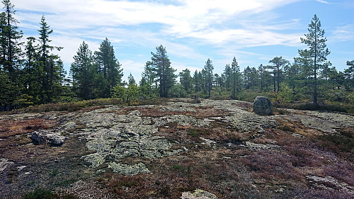 Dulpeknatten