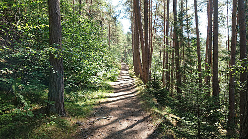 The old forest road from Kjørnes towards Eide