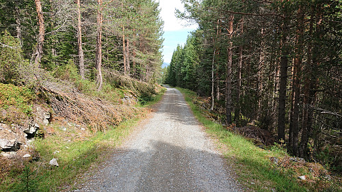 Gravel road towards the airport at Haukåsen
