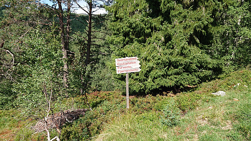 Marked trailhead at the parking lot