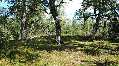 Drakahovden: one of the two old settlements indicated along the trail