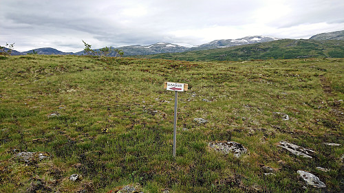 Trail splitting south of Fjærlandssetevatnet