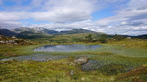 View towards Synnevaskjer and Blåfjell from the descent