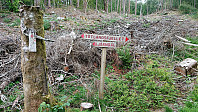 Crossroads Bjørndal/Ørnakulten